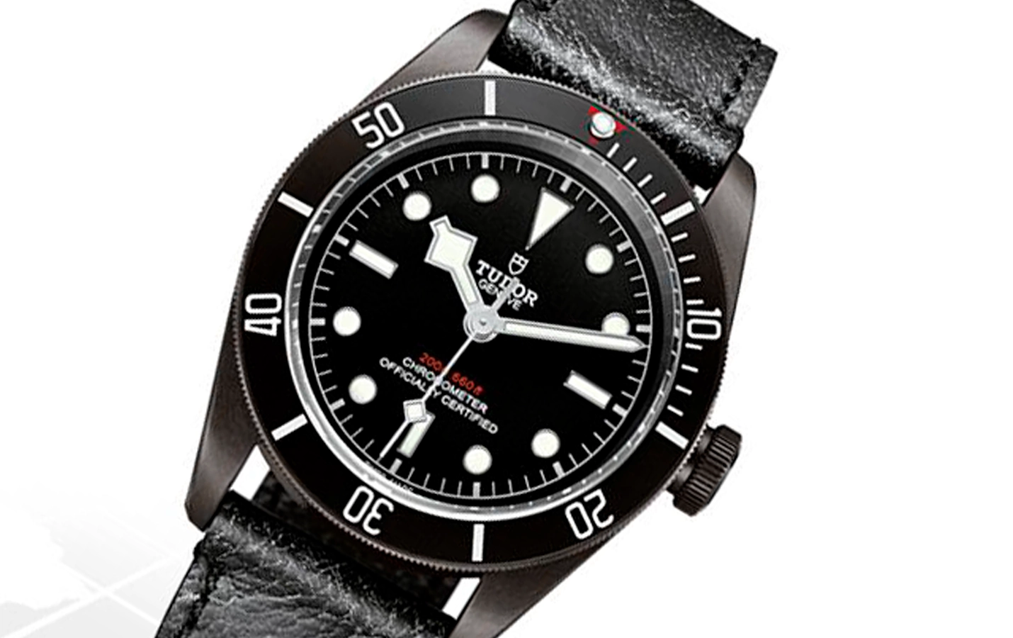 Tudor Black Bay M79230DK-0004 WatchProject 21 Shop